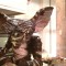 gremlins